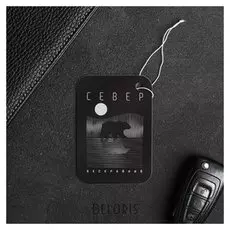 Ароматизатор бумажный «Север. бескрайний»