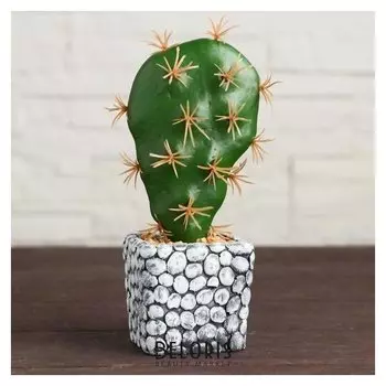 Бонсай "Кактус" Камушки, 6х15 см