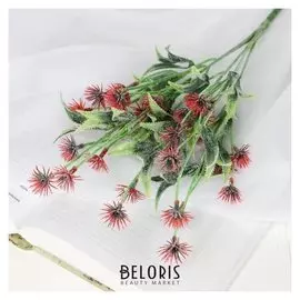 Букет "Пустынный василёк" 35 см