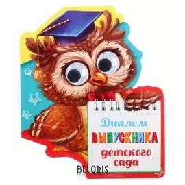 Диплом "Выпускника детского сада", сова с глазками, 14,5 х 17 см
