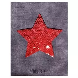 Дневник универсальный для 1-11 классов Red Star