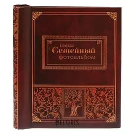 Фотоальбом "Наш семейный фотоальбом", 10 магнитных листов размером 12 х 18,7 см