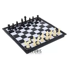 Игра настольная "Шахматы", доска пластик 24х24 см