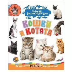 Энциклопедия Кошки и котята