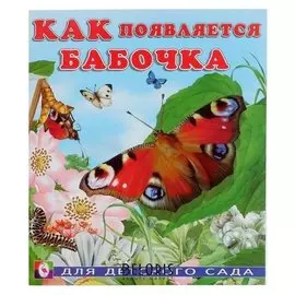 Как появляется бабочка