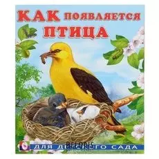 Как появляется птица