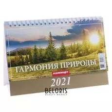 Календарь домик "Гармония природы" 2021 год 20х14 см