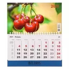 Календарь моно "Вишня" 2021 год, 20 × 24 см