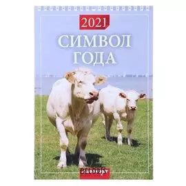 Календарь на пружине без ригеля "Символ года Вид 2" 17х25 см 2021 год