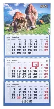 Календари квартальные трио "Символ года, 2021-10" 31 х 69 см