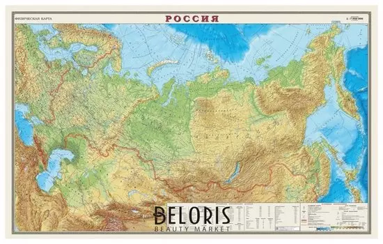 Карта настенная "Россия Физическая карта"