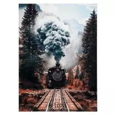 Картина "Паровоз" 25*35 см