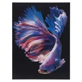 Картина "Рыбка" 30*40 см