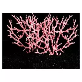 Коралл пластиковый большой 24,5 х 4 х 19 см, розовый