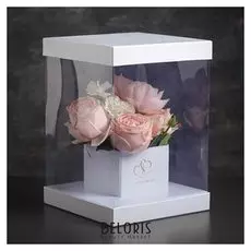 Коробка подарочная, 20 х 20 х 28 см
