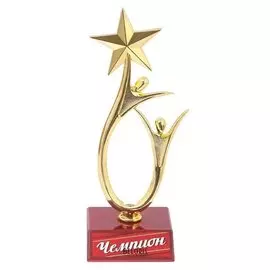 Кубок "Чемпион", люди со звездой