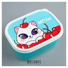 Ланч-бокс «Meow», 500 мл