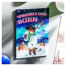 Магнит двусторонний «Север»