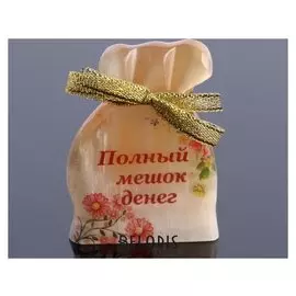 Магнит "Полный мешок денег", селенит