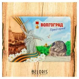 Магнит «Волгоград. родина-мать»