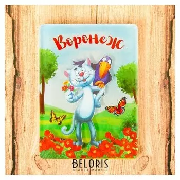 Магнит «Воронеж»
