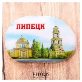Магнит в форме большой гальки «Липецк»