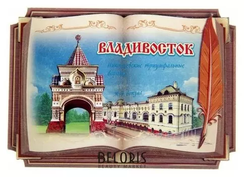 Магнит в форме книги «Владивосток. николаевские триумфальные ворота»