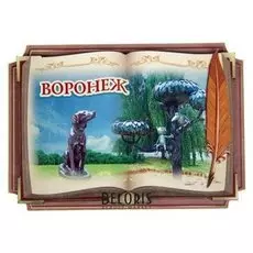 Магнит в форме книги «Воронеж»