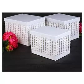 Набор коробок 3 в 1, белый, 25 х 20 х 18 - 21 х 15,5 х 15,5 см