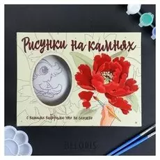 Набор "Рисунок на камне: попугай"