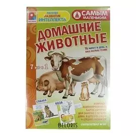 Настольная игра Домашние животные