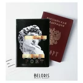 Обложка для паспорта "David"