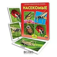 Обучающие и развивающие карточки Насекомые