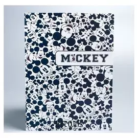 Папка для документов Mickey