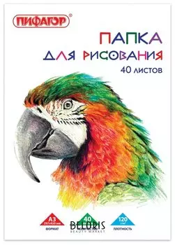 Папка для рисования А3, 40 листов "Попугай"