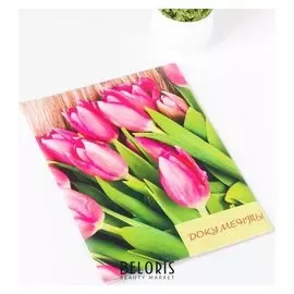 Папка для семейных документов, 1 комплект, цвет разноцветный