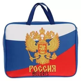 Папка с ручками, текстильная, А4, 80 мм, 340 х 260 мм, «Герб россии», ручка-тесьма