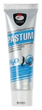 Паста уплотнительная Pastum H2o, тюбик 25 г