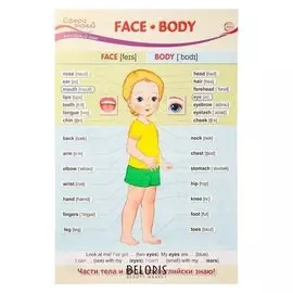 Плакат "Face. Body" А3