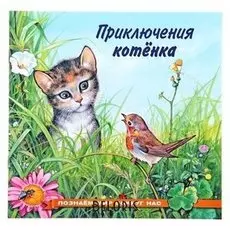 Приключения котёнка Гурина И. В.