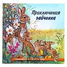 Приключения зайчонка Гурина И. В.