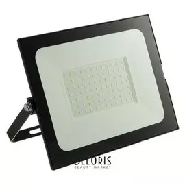 Прожектор светодиодный Düwi Colorbox, 100 Вт, 6500 К, 8000 Лм, Ip65, цветная коробка