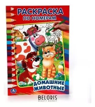 Раскраска по номерам Домашние животные