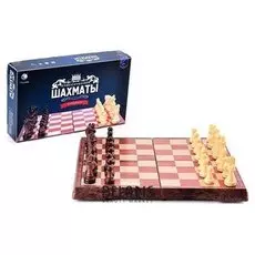 Шахматы
