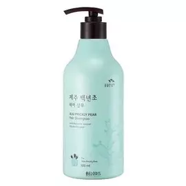 Шампунь с кактусом Jeju Prickly Pear Hair Shampoo