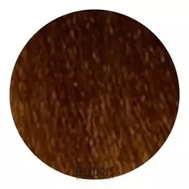 Стойкая крем-краска Permanent Hair Color