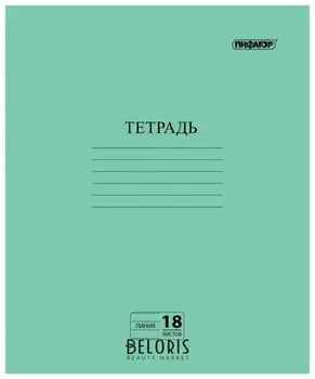 Тетрадь в линейку 18 листов