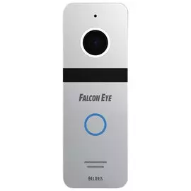 Видеопанель вызывная FALCON EYE FE-321, разрешение 800 ТВл, угол обзора 110°, питание DC 12 В, серебро
