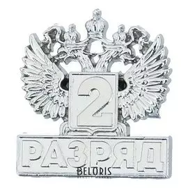 Значок "2 разряд"