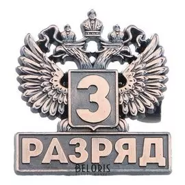 Значок "3 разряд"